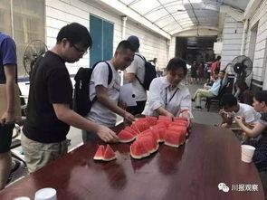 大型吃瓜群众图片,围观热潮背后的故事